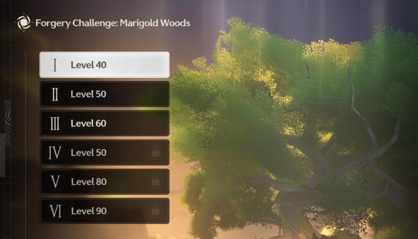 Forgery Challenge Domain Levels